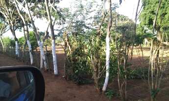 Imagem 5: Jesus te ama - Vendo Chácara com 6,5 hectares em Planaltina-DF