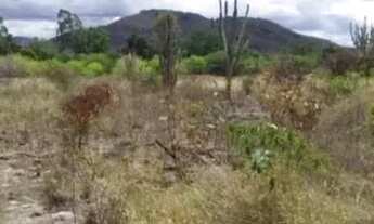 Imagem: Terreno em Iaçu BA. Rio Paraguaçu