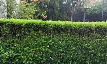 Imagem 3: Casa para venda tem 236 metros quadrados com 3 quartos em Centro - Barretos - SP