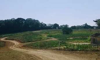 Imagem 5: 03o-Terrenos com Infraestrutura completa