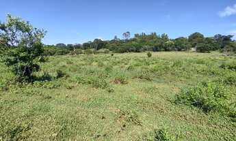 Imagem 7: Chácara próximo a Nerópolis