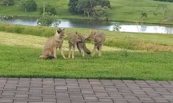 Imagem 6: Casas em Construção Ecovillas do Lago