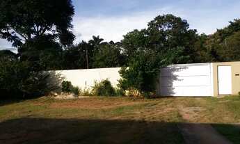 Imagem 5: Chácara a venda em Pinhalzinho-SP