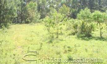 Imagem 3: SãO BERNARDO DO CAMPO - Terreno Padrão - Cooperativa