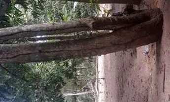 Imagem 2: Vende-se Terreno / lote com venda por R$105.000