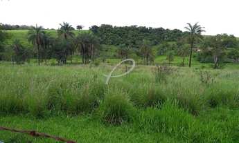 Imagem 5: área - Parque da Empresa - Mogi Mirim