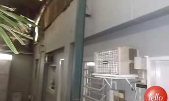 Imagem 5: São Paulo - Galpão/Depósito/Armazém - Vila Matilde