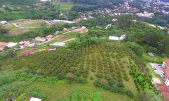 Imagem 6: Lote com 13.450m2 e excelente topografia - Nova Friburgo