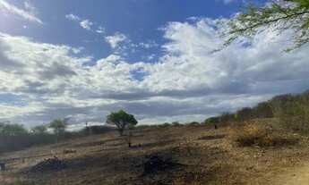 Imagem 6: Terreno 30 Hectares