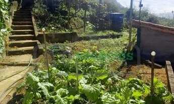 Imagem 4: WSL - Chácara para venda possui 250 metros quadrados com 3 quartos