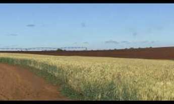 Imagem 2: Excelente fazenda com 4 pivôs