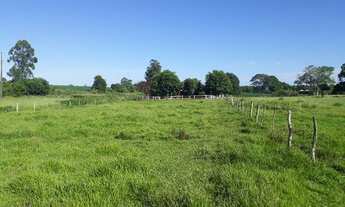 Imagem 7: Vendo sitio 135 mil aceito carro no negocio!