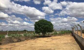Imagem 5: Sítio na cidade de Sobrado, Distrito de Lagoa do Padre