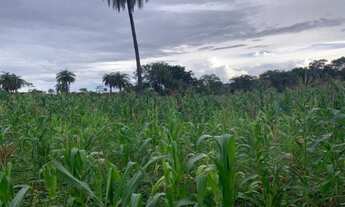 Imagem 5: Lindo baixadão de 20 mil metros (Temos varias opções)