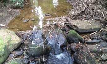 Imagem 7: Ótimo Sítio em Alfredo Wagner 20 hectares com Escritura Pública