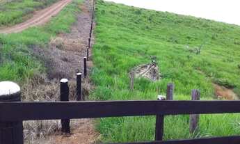 Imagem 2: Fazenda apui terra boa de agua capim etc