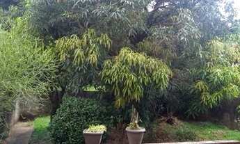 Imagem 7: Casa de rua - / Residencial / Centro