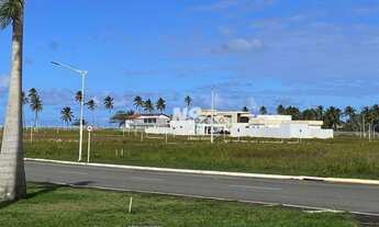 Imagem 3: Terreno no Apha Park