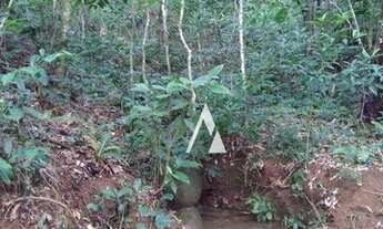 Imagem 2: Sitio à venda, Palhocinha, Garopaba -