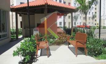 Imagem 7: CANOAS - Padrão - Mato Grande