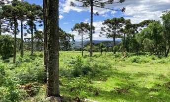 Imagem 7: Área Rural 10 hectares/ Imóvel Rural