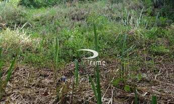 Imagem 5: Terreno à venda, 1350 m² por R$ 750.000,00 - Piratininga - Niterói/RJ