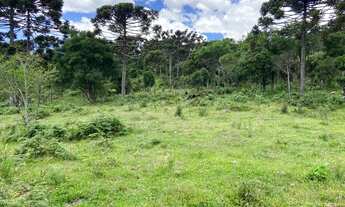 Imagem 5: Área Rural 10 hectares/ Imóvel Rural