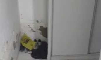 Imagem 3: Alugo casa com 3/4 e uma suíte