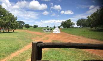 Imagem 7: FAZENDA RURAL em PALMAS - TO, CENTRO (TAQUARALTO