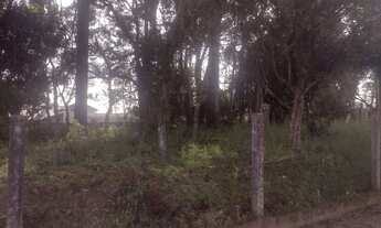 Imagem 6: Área Central Campo do Tenente/PR