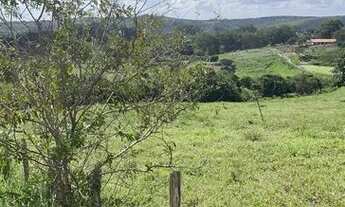 Imagem 7: ALUGA-SE HARAS EM CHA GRANDE PERTO DO HOTEL HILANDHER