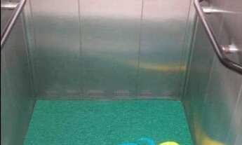 Imagem 5: Apartamento com 2 dormitórios à venda, 44 m² por R$ 180.000,00 - Villa Branca - Jacareí/SP