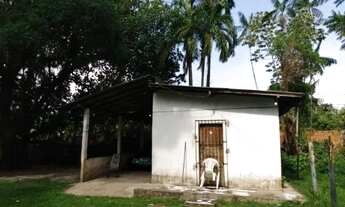 Imagem: Casa próximo ao barato do Tapanã, arborizada