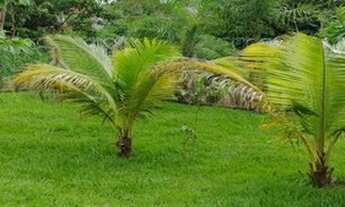 Imagem 7: URUAÇU - Comercial - Uruaçu