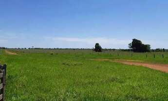 Imagem 7: Magnífica Fazenda, 3.133 Hectares, Município e Nioaque - MS