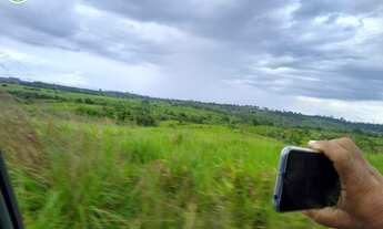 Imagem 4: FAZENDA À VENDA EM JACUNDA - PA - 774,4 HECTARES (PECUÁRIA