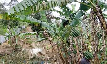 Imagem 3: SÃO LOURENÇO DA SERRA - Chácara - COLINA VERDE