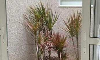 Imagem 2: Sobrado com 3 dormitórios à venda, 122 m² por R$ 900.000,00 - Saúde - São Paulo/SP