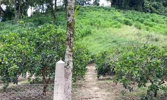 Imagem 7: LINDO SÍTIO Fazenda / sítio com venda por R$800.000