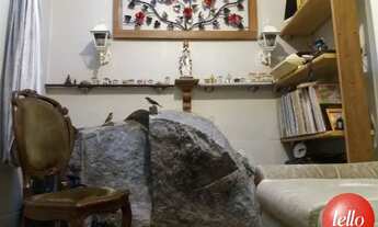 Imagem 5: São Paulo - Casa Padrão - Tremembé