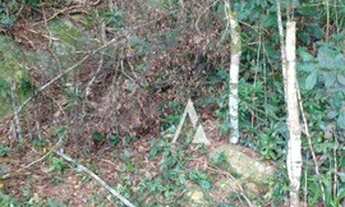 Imagem 6: Sitio à venda, Palhocinha, Garopaba -