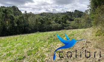 Imagem 6: Terreno para agricultura com 60.500m² ou 2,5 alqueires