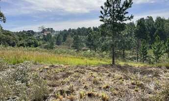 Imagem 4: TERRENO CONDOMÍNIO QUATRO BARRAS - PR