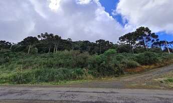 Imagem 3: Imóvel Rural 2 hectares Urubici/ Terreno Urubici