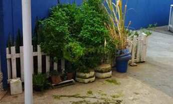 Imagem 6: Casa com 2 dorms, Nova Peruíbe, Peruíbe - R$ 220 mil, Cod: 3872