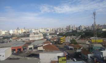 Imagem 7: SÃO JOSÉ DO RIO PRETO - Apartamento Padrão - VILA MACENO