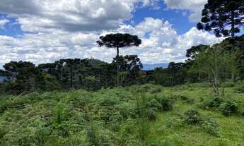 Imagem 6: Área Rural 10 hectares/ Imóvel Rural