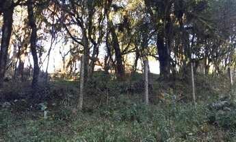 Imagem 5: Terreno na Barragem do Salto em São Francisco de Paula!