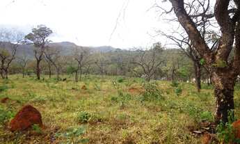 Imagem 6: Brumadinho - Loja de Shopping/Centro Comercial - Casa Branca