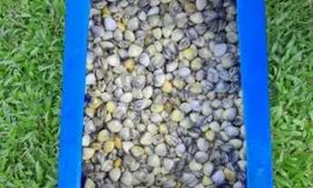 Imagem 2: Casa/kitinet frente para o mar